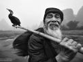 portrait cormorant fisherman li river china